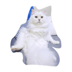 [LINEスタンプ] cat mo zo