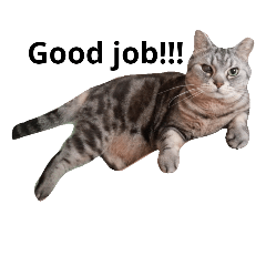 [LINEスタンプ] わさびの2