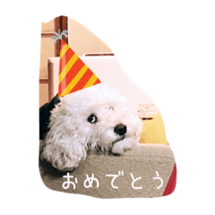 [LINEスタンプ] 毎日おにゃ子 2