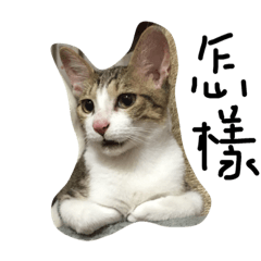 [LINEスタンプ] cutemn