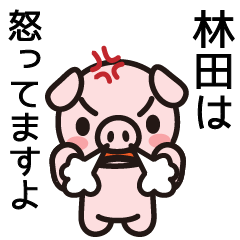 [LINEスタンプ] 林田さんと林田さんの友達専用