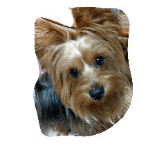 [LINEスタンプ] dog-boss