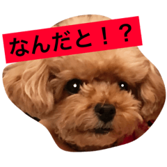 [LINEスタンプ] ねむスタンプ 1