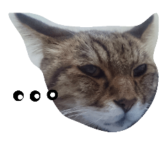 [LINEスタンプ] BossBen