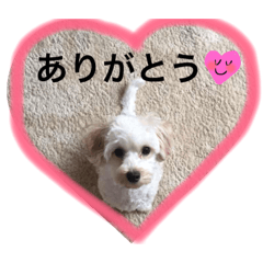 [LINEスタンプ] 幸せ杏ちゃん