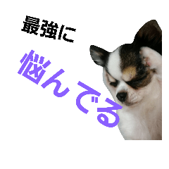 [LINEスタンプ] 可愛いココちゃん