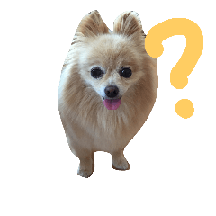 [LINEスタンプ] 忠犬みらん