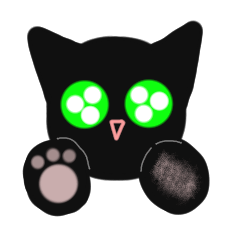Black cat, edgar