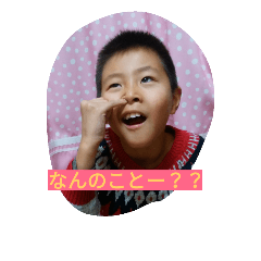 [LINEスタンプ] Everyday3216