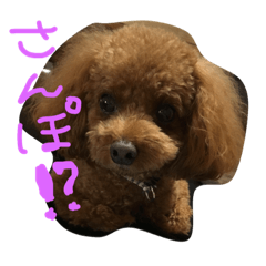 [LINEスタンプ] トイプのレン君