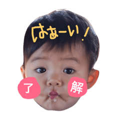 [LINEスタンプ] Yokkota