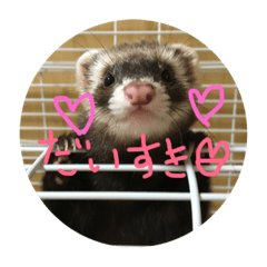 [LINEスタンプ] フェレットuxu