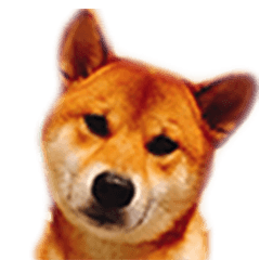 [LINEスタンプ] DING BAO