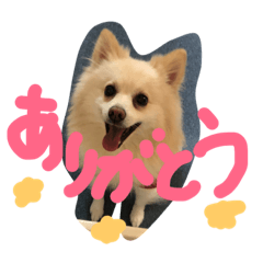 [LINEスタンプ] happyeight 2