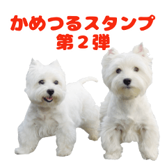 [LINEスタンプ] KAMETURU Sticker