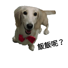 [LINEスタンプ] Milk  Long  Dog