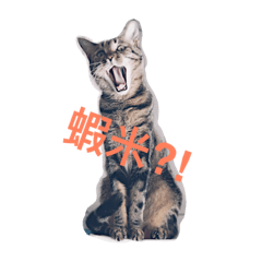 [LINEスタンプ] RUBI