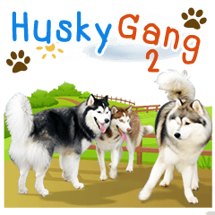 [LINEスタンプ] Husky Gang 2 (TH)