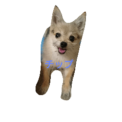 [LINEスタンプ] ベル＆チップ