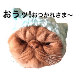 [LINEスタンプ] エキゾチック jam