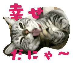 [LINEスタンプ] 紫音くん最強