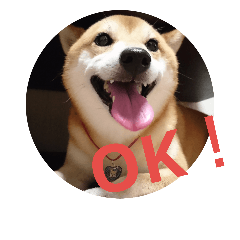 [LINEスタンプ] 豆柴 コロ