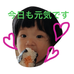 [LINEスタンプ] うちのまるすけ