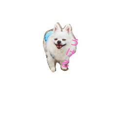 [LINEスタンプ] gjud