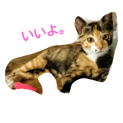 [LINEスタンプ] べにちゃんとめいちゃん