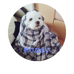 [LINEスタンプ] さすけふぁんのためのすたんぷ。