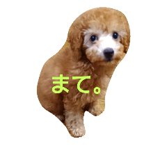 [LINEスタンプ] ぼく、うに。2