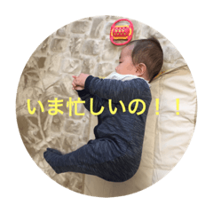 [LINEスタンプ] たいせいです〜まだ寝返らないもん〜