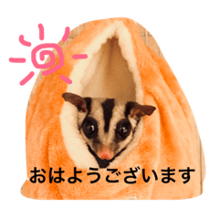 [LINEスタンプ] ももちゃんの日常会話