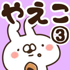 [LINEスタンプ] 【やえこ】専用3