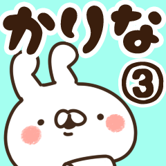 [LINEスタンプ] 【かりな】専用3の画像（メイン）