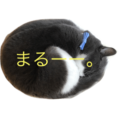 [LINEスタンプ] metsukiwaruineko