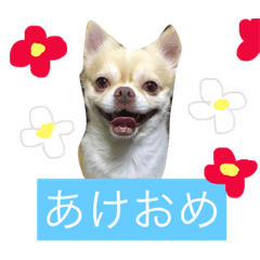 [LINEスタンプ] バニさんスタンプ