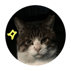 [LINEスタンプ] his name is Funyakichi
