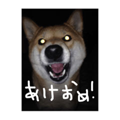 [LINEスタンプ] black SUMAKO