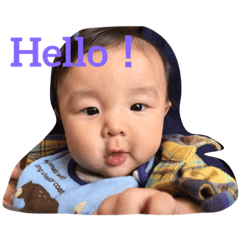 [LINEスタンプ] こたこたすたんぷ1