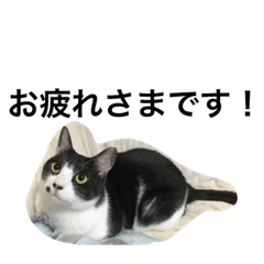 [LINEスタンプ] maakun is pretty.の画像（メイン）