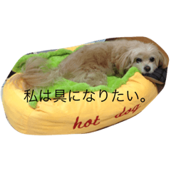 [LINEスタンプ] 真性ホットドッグ