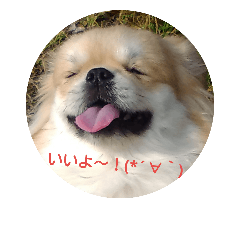[LINEスタンプ] わんこ日和(杏李編)