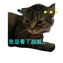 [LINEスタンプ] ボーリング猫の憂鬱