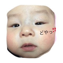 [LINEスタンプ] くんくんの日常