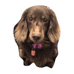 [LINEスタンプ] My favorite link 01