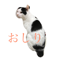 [LINEスタンプ] gomafu2