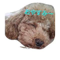 [LINEスタンプ] p1010