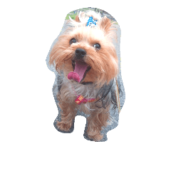 [LINEスタンプ] 犬ラク