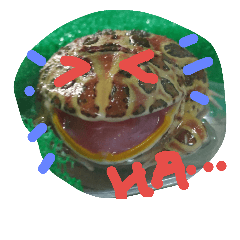 [LINEスタンプ] happy frogs and their daily